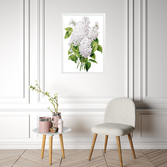 Laimīgais ceriņš- balts