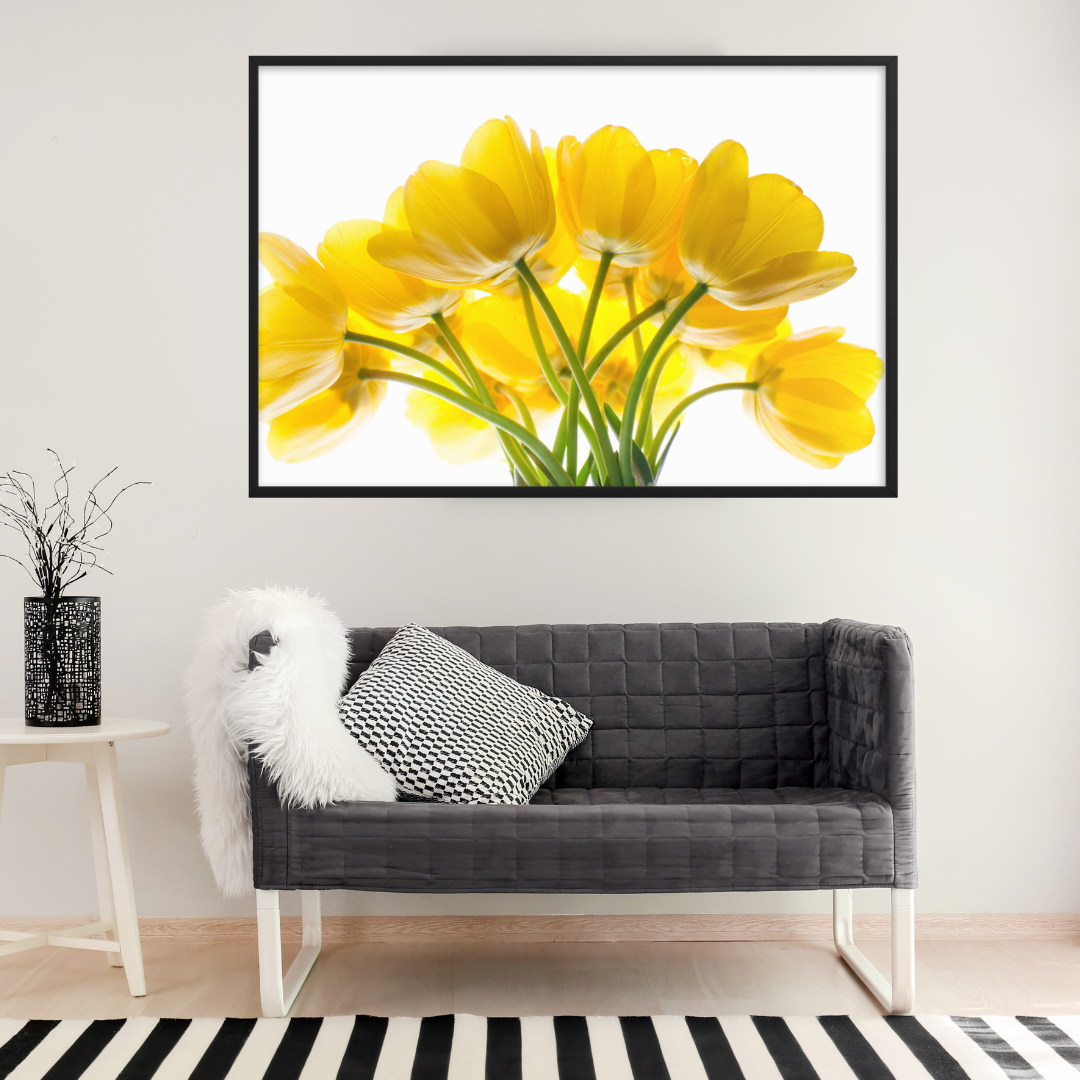 Dzeltenas tulpes priekam