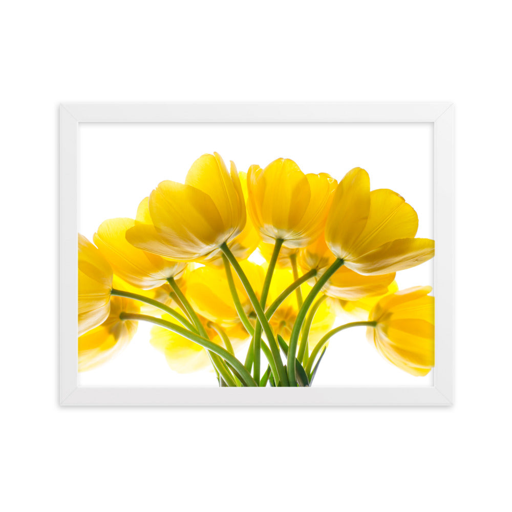 Dzeltenas tulpes priekam